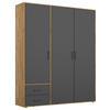 DREHTÜRENSCHRANK Grau, Eiche Artisan  - Eiche Artisan/Grau, Modern, Holzwerkstoff/Kunststoff (140/194/53cm) - Rauch Möbel