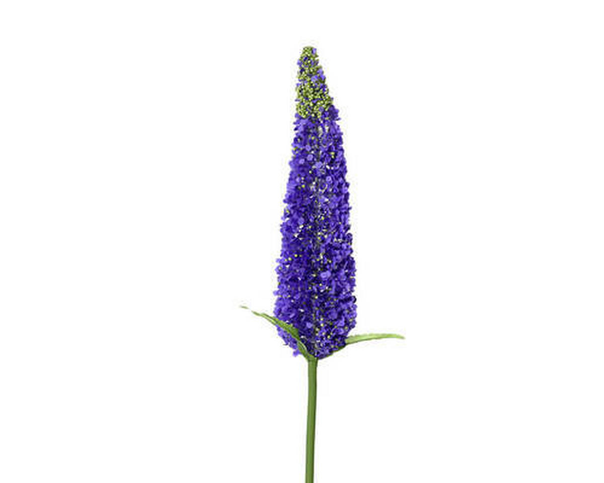 UMĚLÁ KVĚTINA 79 cm - Basics (79cm)