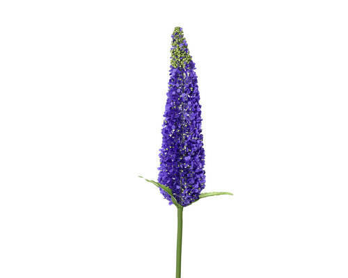 UMĚLÁ KVĚTINA 79 cm