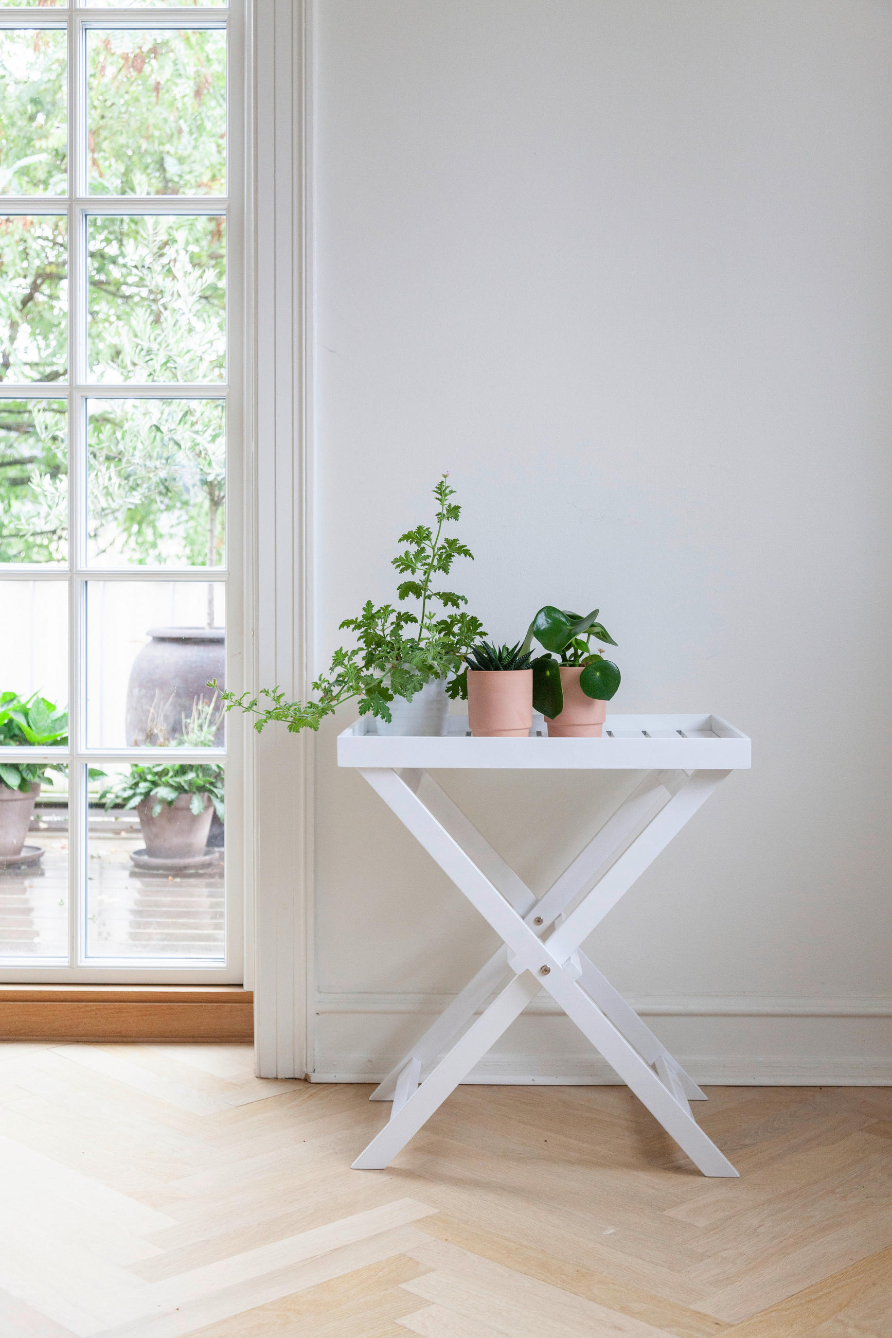 TABLETTTISCH 60/40/65 cm Mahagoni vollmassiv Weiß Hochglanz  - Weiß Hochglanz, KONVENTIONELL, Holz (60/40/65cm) - MID.YOU