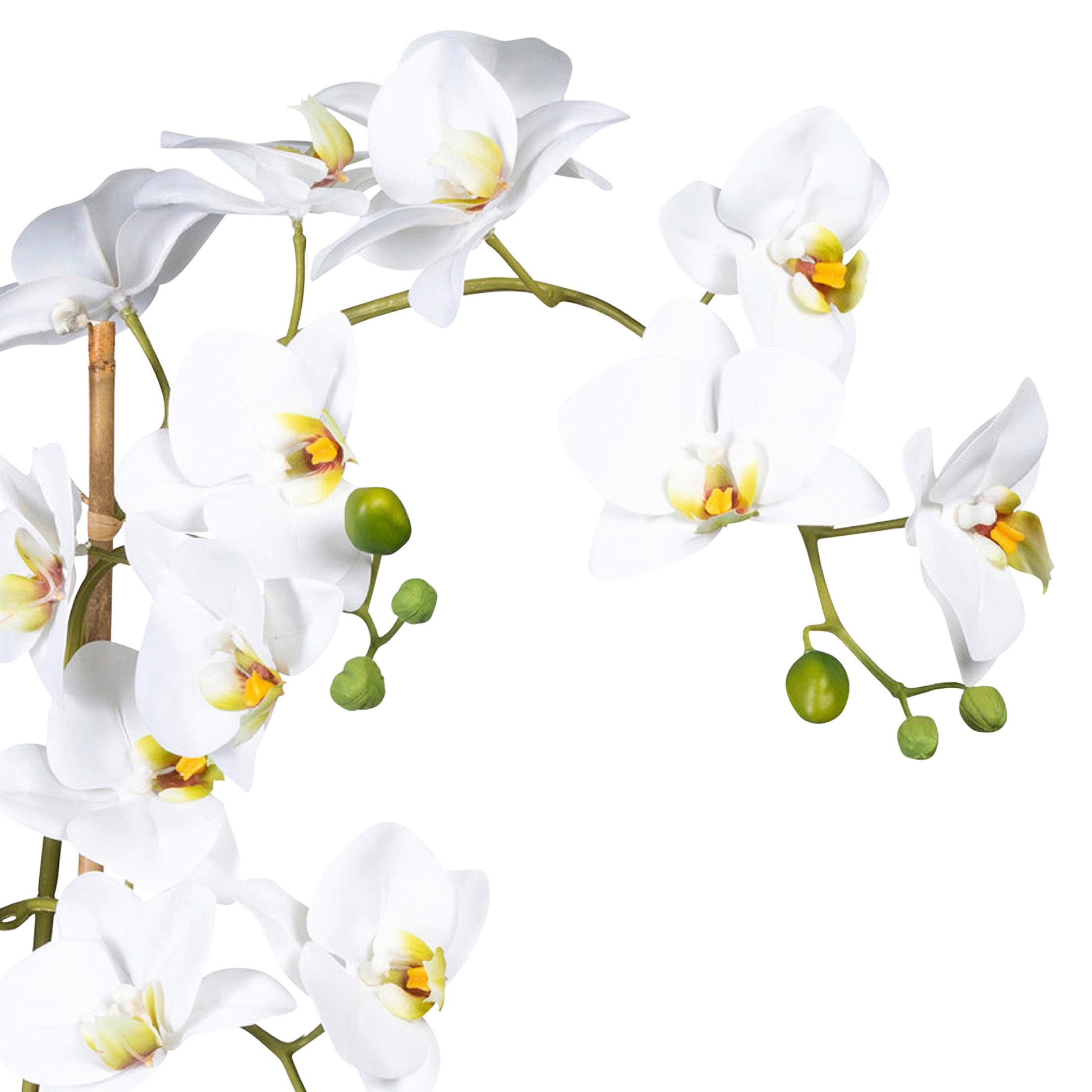KUNSTPFLANZE Orchidee 60 cm  - Weiß/Grün, Design, Keramik/Kunststoff (60cm) - P & B