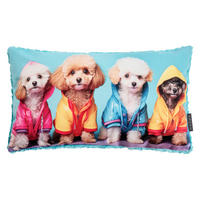 ZIERKISSEN  30/50 cm   - Multicolor, Basics, Textil (30/50cm)