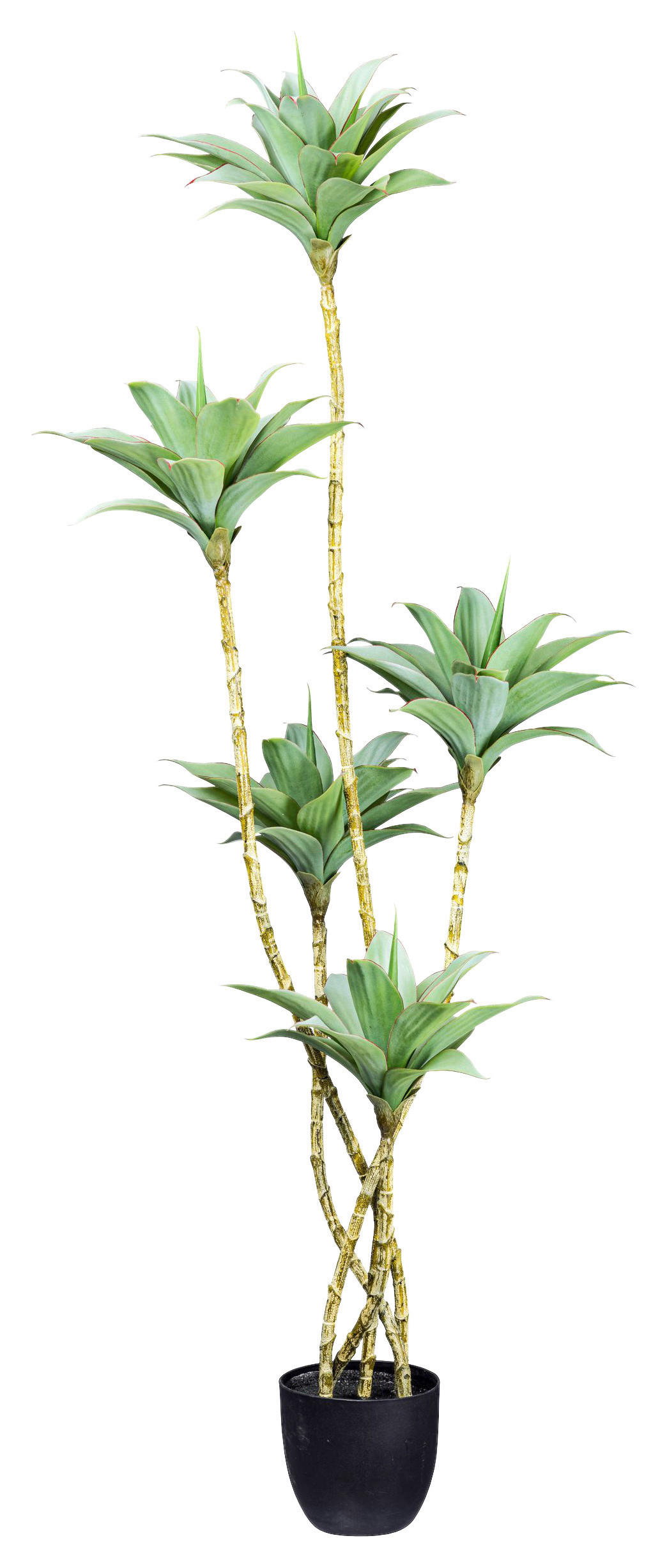 KUNSTPFLANZE Agave 160 cm  - Schwarz/Braun, Design, Kunststoff (160cm) - P & B