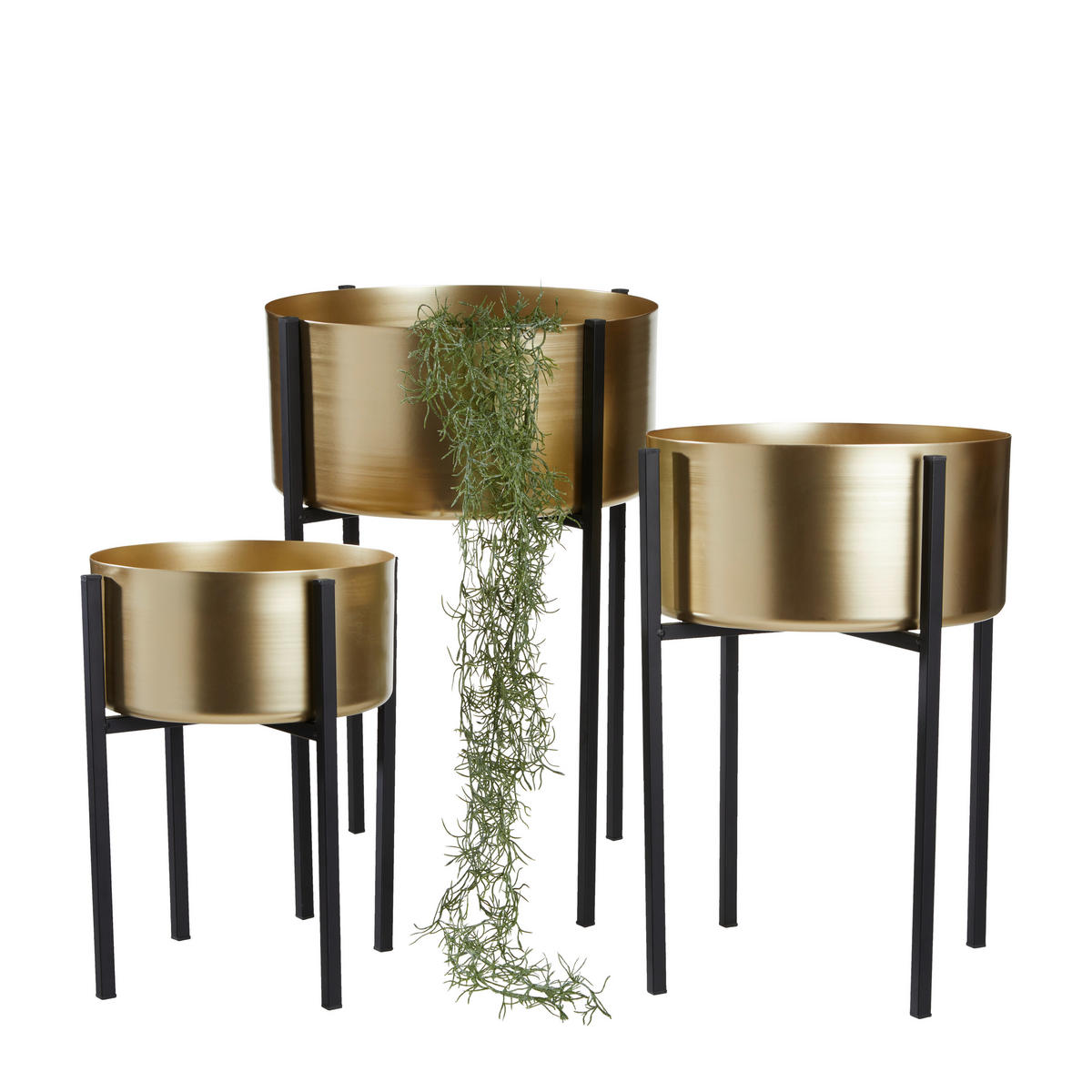 SAKSIJA ZA BILJE  metal  - zlatna/crna, Trendi, metal (39/55cm) - Ambia Home