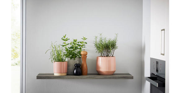 EINBAUKÜCHE - Rosa, Design, Holzwerkstoff - Novel