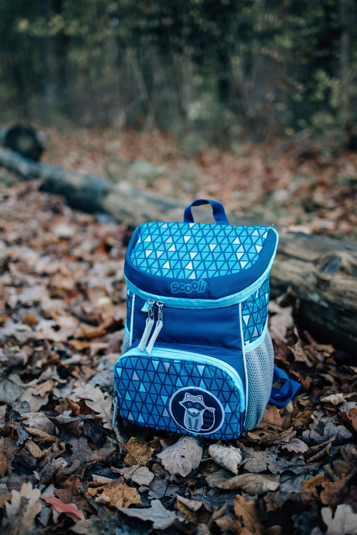KINDERRUCKSACK Scooli Mini Me Ricki Racoon  - Blau/Grau, Basics, Textil (20/29/13cm)