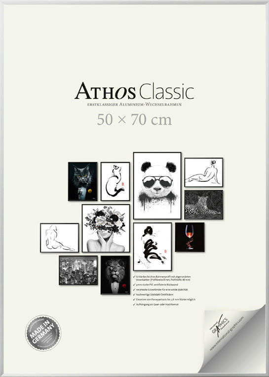 BILDERRAHMEN - Chromfarben, Basics, Papier/Holzwerkstoff (50/70/1,8cm)