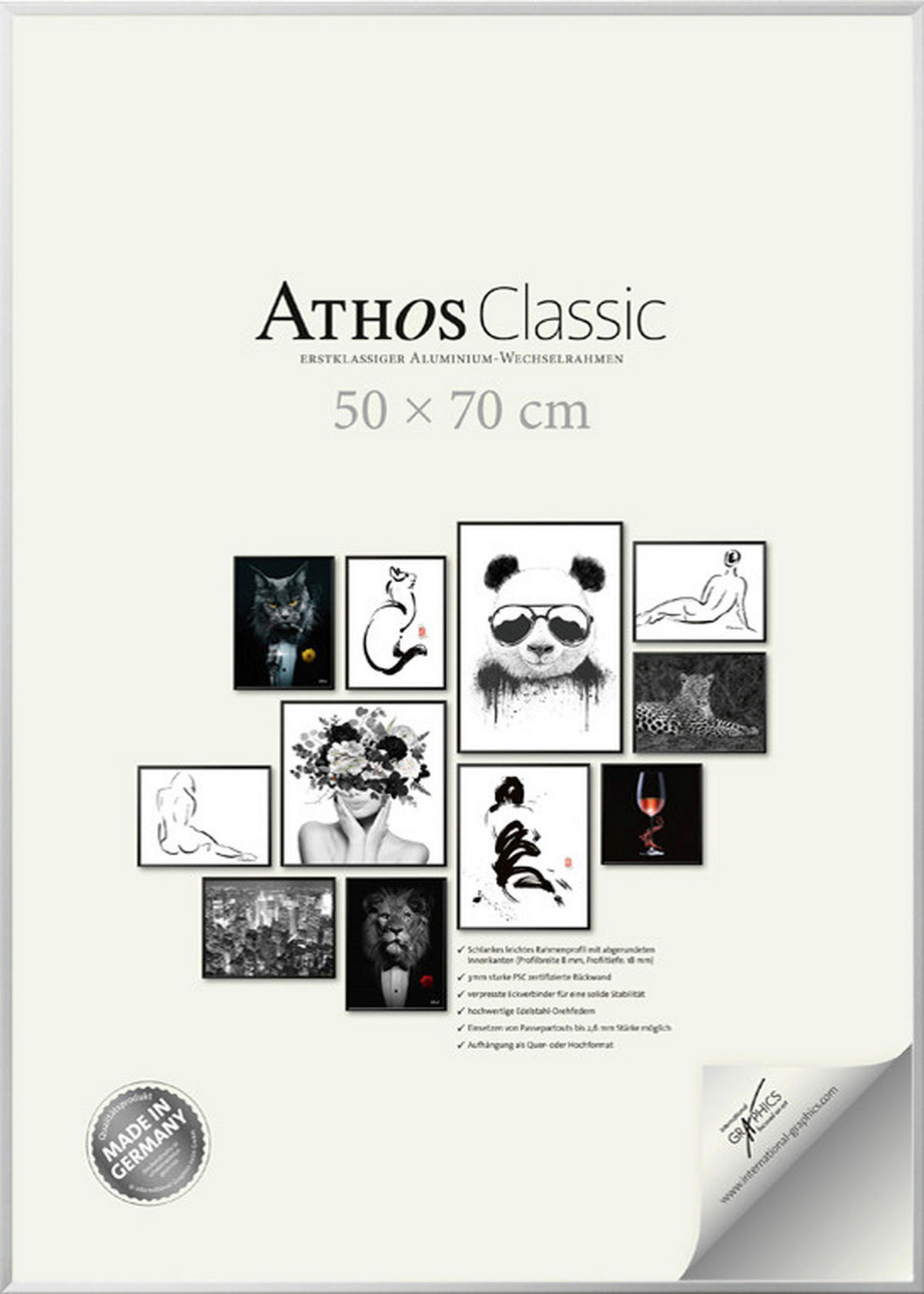 BILDERRAHMEN - Chromfarben, Basics, Papier/Holzwerkstoff (50/70/1,8cm)