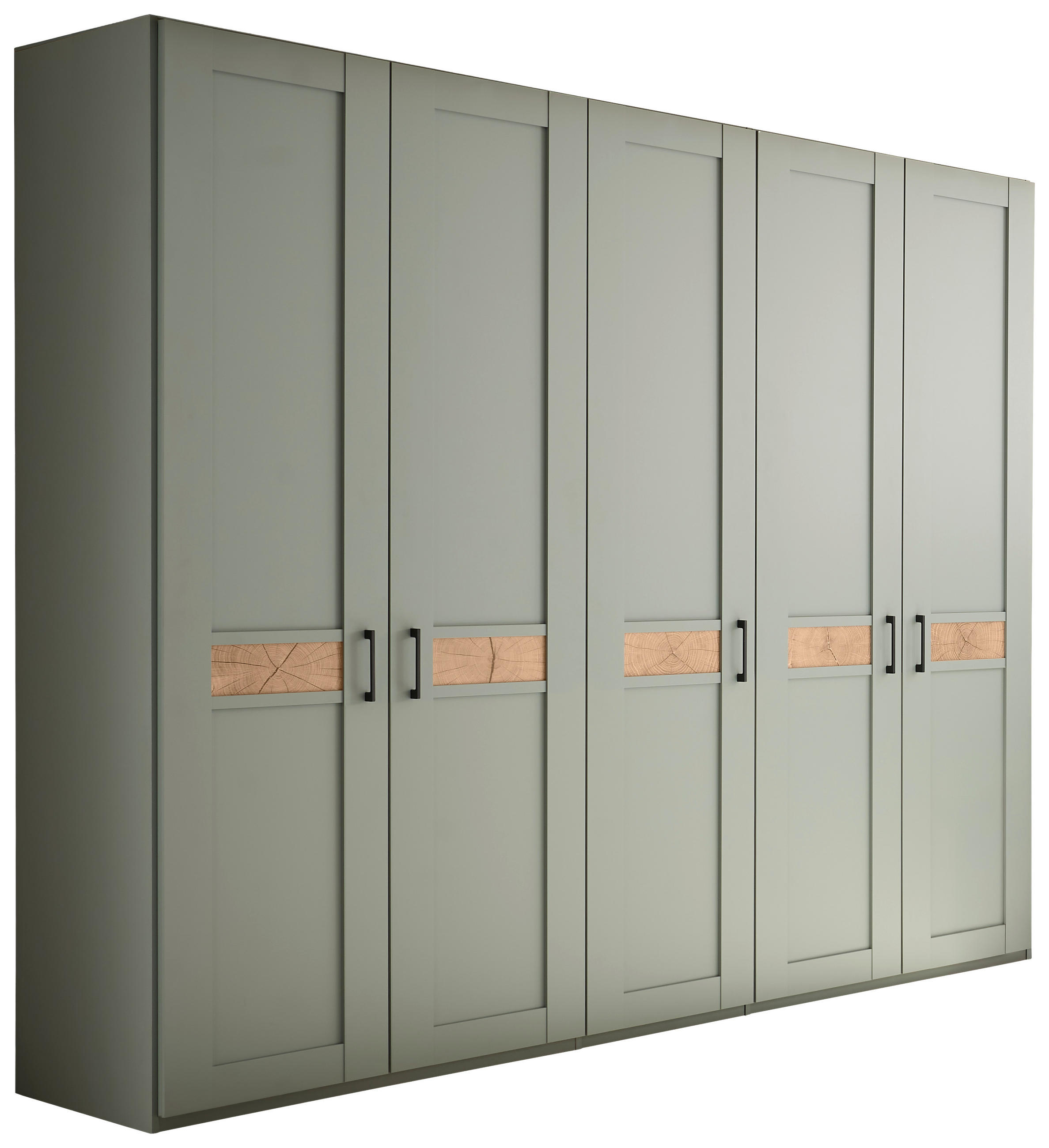 DREHTÜRENSCHRANK 250/216/60 cm,  in Salbeigrün, Eiche Bianco, 5-türig  - Eiche Bianco/Salbeigrün, LIFESTYLE, Holzwerkstoff/Metall (250/216/60cm) - Landscape