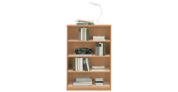 REGAL Buchefarben - Buchefarben, Basics, Holzwerkstoff (72/110/36cm) - Xora