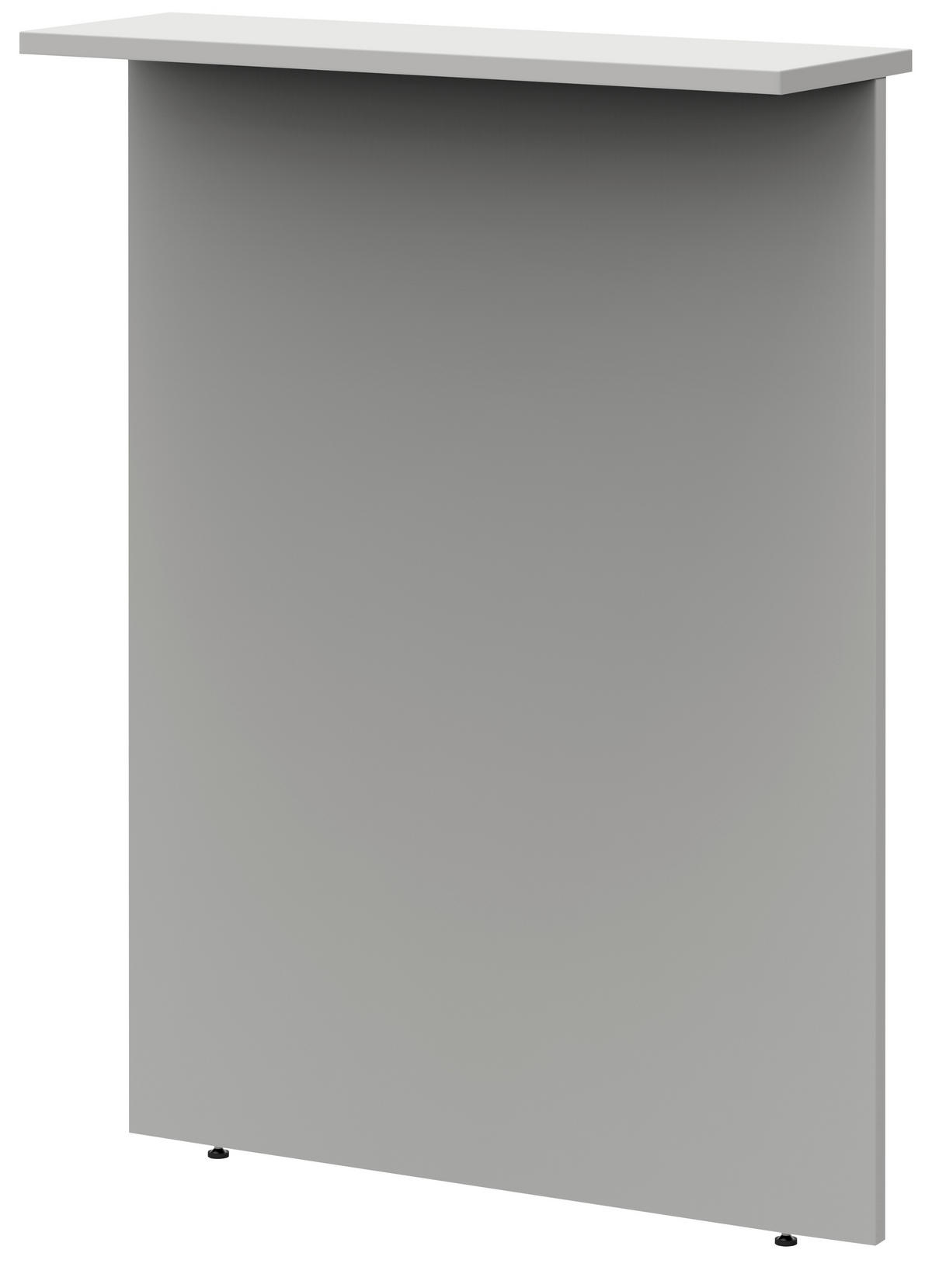 SICHTBLENDE  in Hellgrau  - Hellgrau, Design, Holzwerkstoff (100/112,9/25cm)