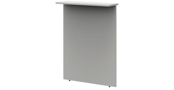 SICHTBLENDE Hellgrau - Hellgrau, Design, Holzwerkstoff (100/112,9/25cm) - Moderano