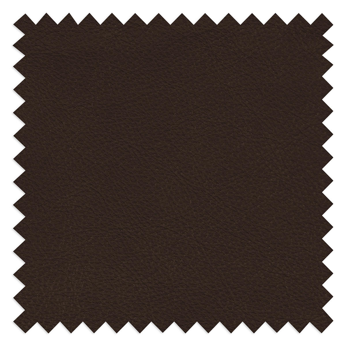 3-SITZER-SOFA  in Echtleder Dunkelbraun   - Dunkelbraun/Beige, Design, Leder/Kunststoff (300/85/123cm) - Livetastic