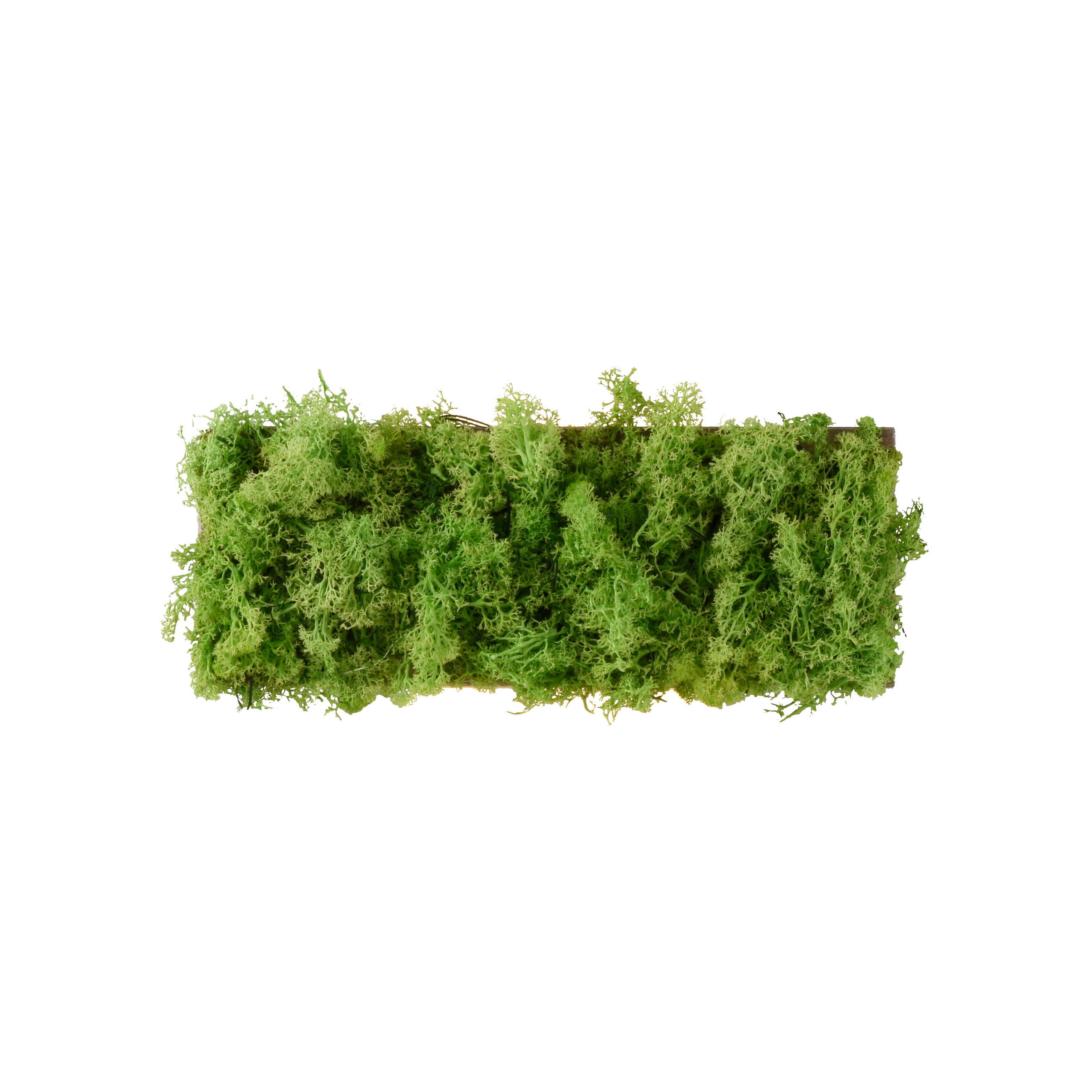 WANDLEUCHTE Green Carlo 32/6/12 cm   - Natur, Naturmaterialien (32/6/12cm)
