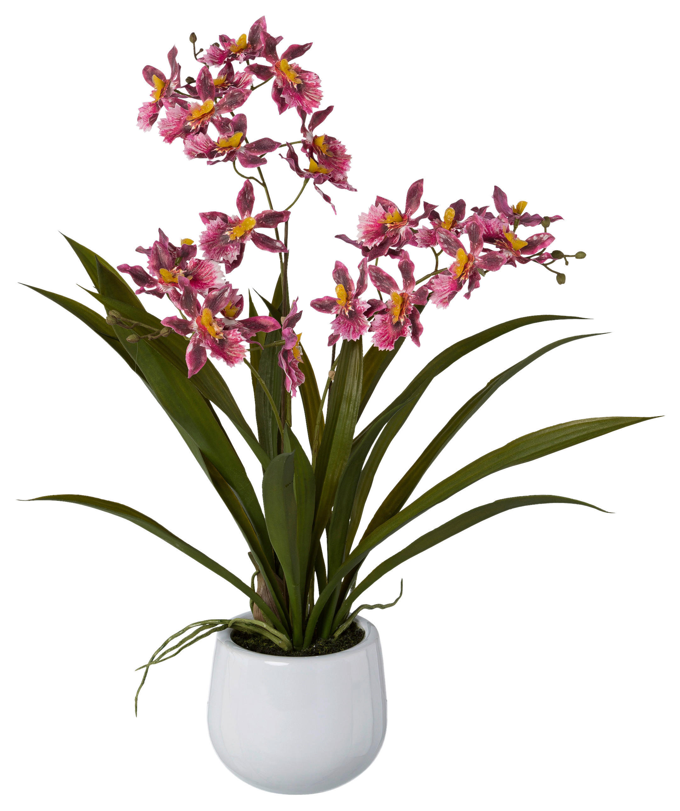 XXXLutz Kunstpflanze Dunkelrosa, Grün, Weiß 50 cm