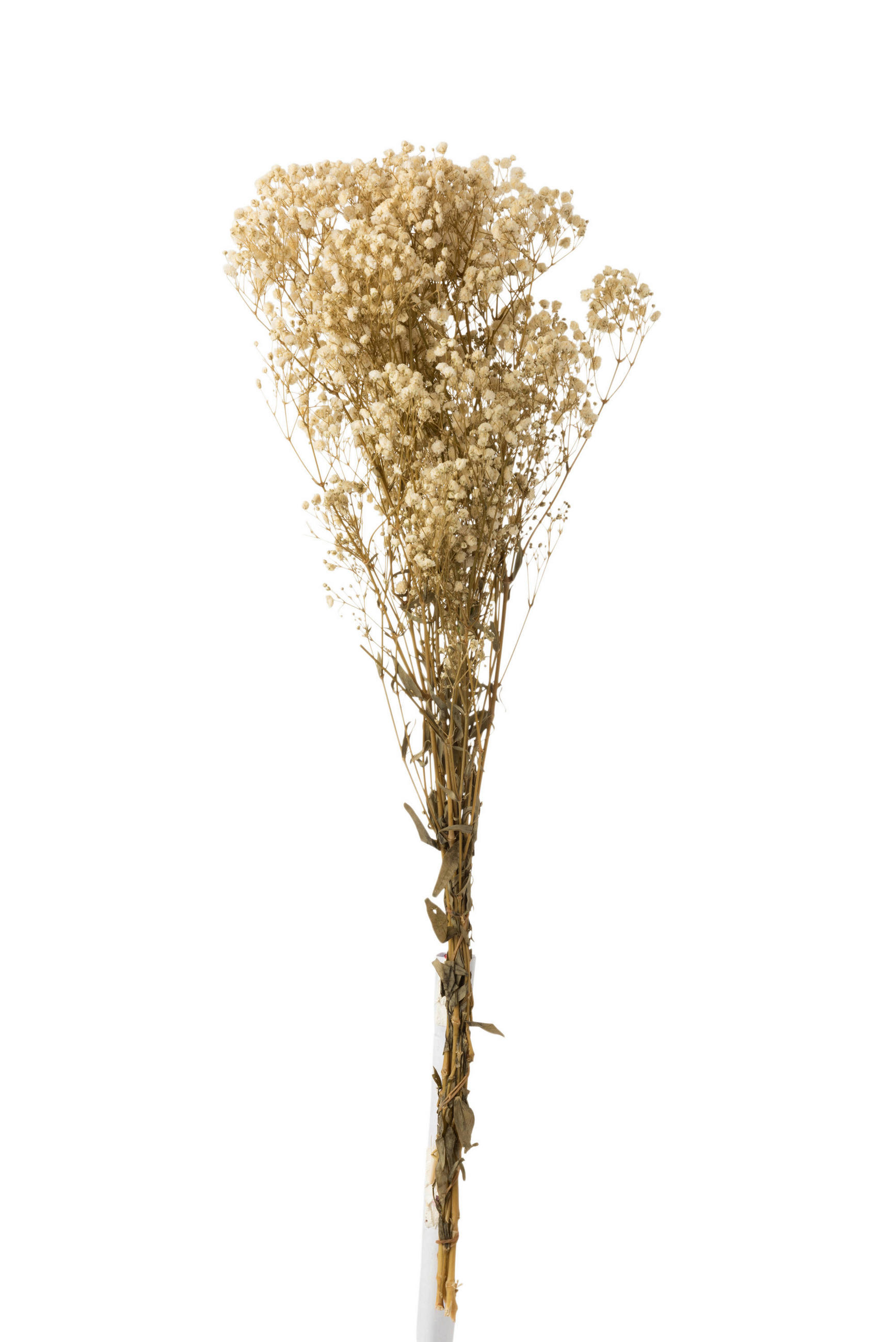 TROCKENBLUMENSTRAUß  - Naturfarben, Basics, Naturmaterialien (10/5/84cm)