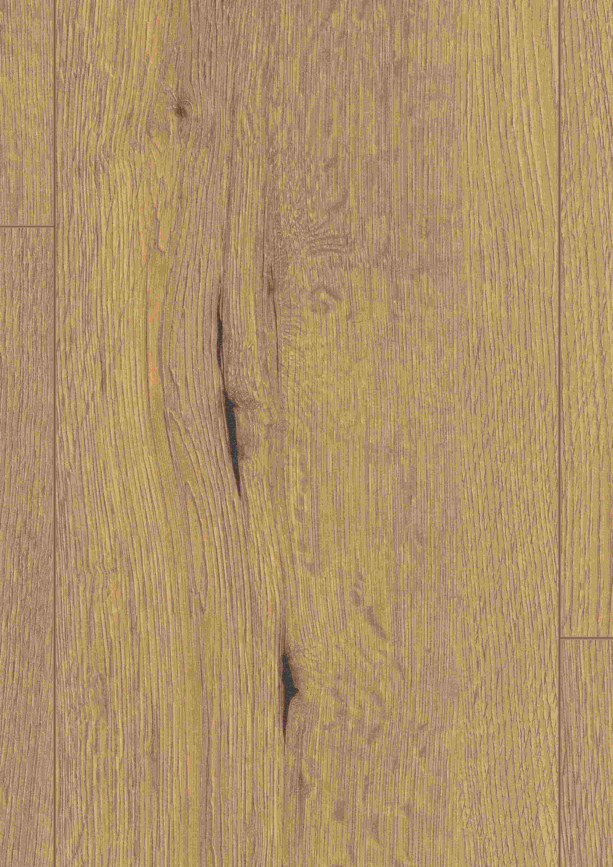 LAMINATBODEN Eiche Authentic  per  m² - Eichefarben, KONVENTIONELL, Holzwerkstoff (129,2/24,6/0,8cm) - Venda