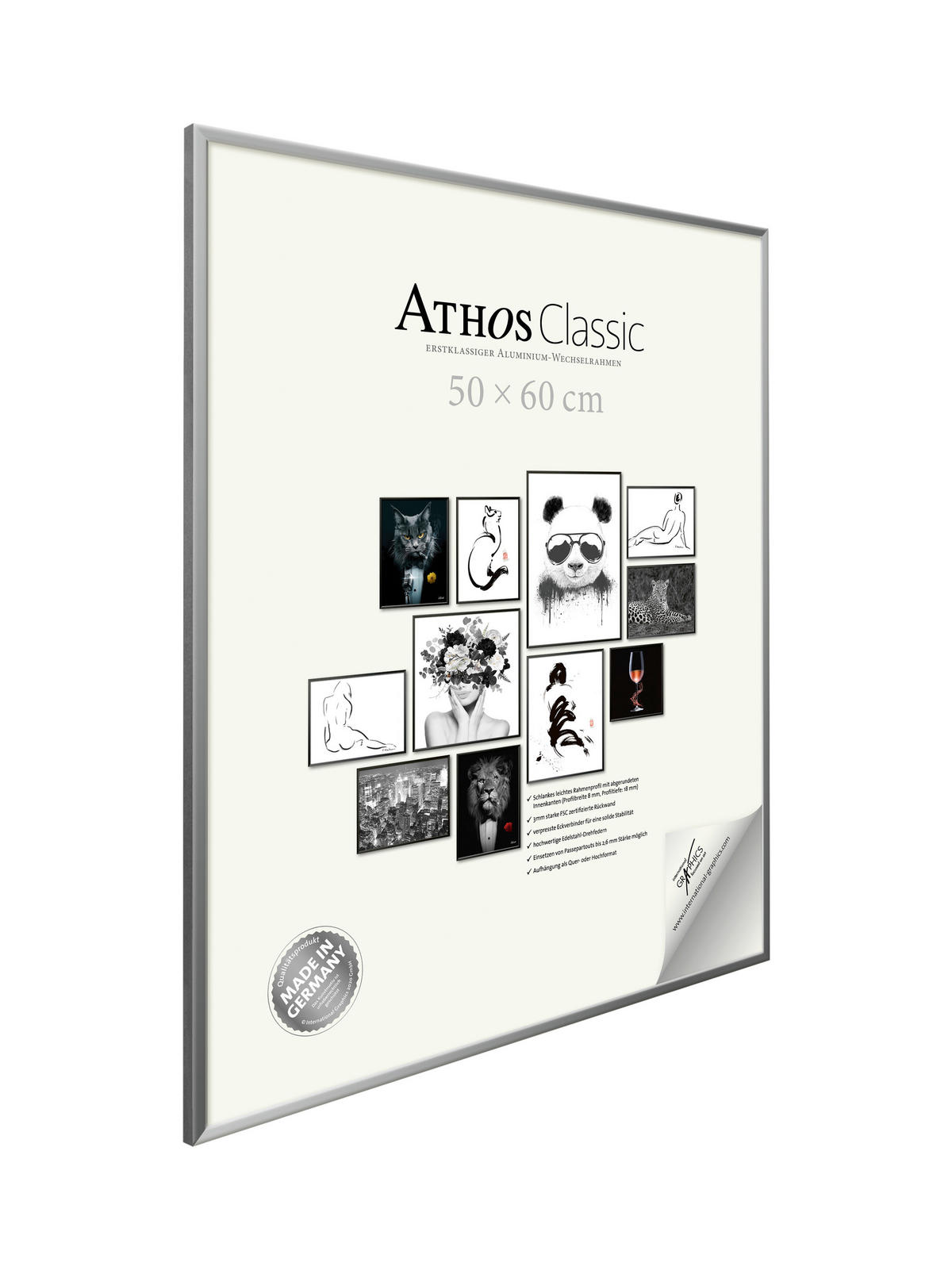 BILDERRAHMEN - Silberfarben, Basics, Papier/Holzwerkstoff (50/60/1,8cm)