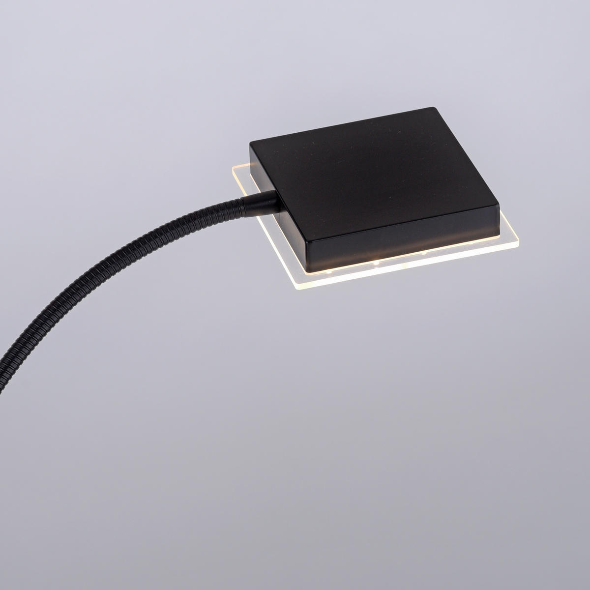 STOJACIA LED LAMPA, 56/57,5/190 cm - čierna, Basics, kov/plast (56/57,5/190cm)