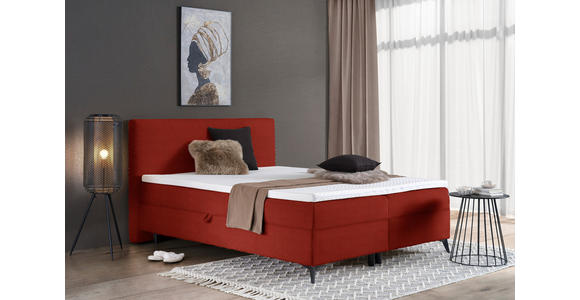BOXBETT 160/200 cm in Terracotta - Terracotta/Schwarz, Design, Holz/Holzwerkstoff (160/200cm) - Xora