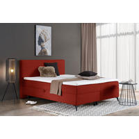 BOXBETT 140/200 cm  in Terracotta  - Terracotta/Schwarz, Design, Holz/Holzwerkstoff (140/200cm) - Xora