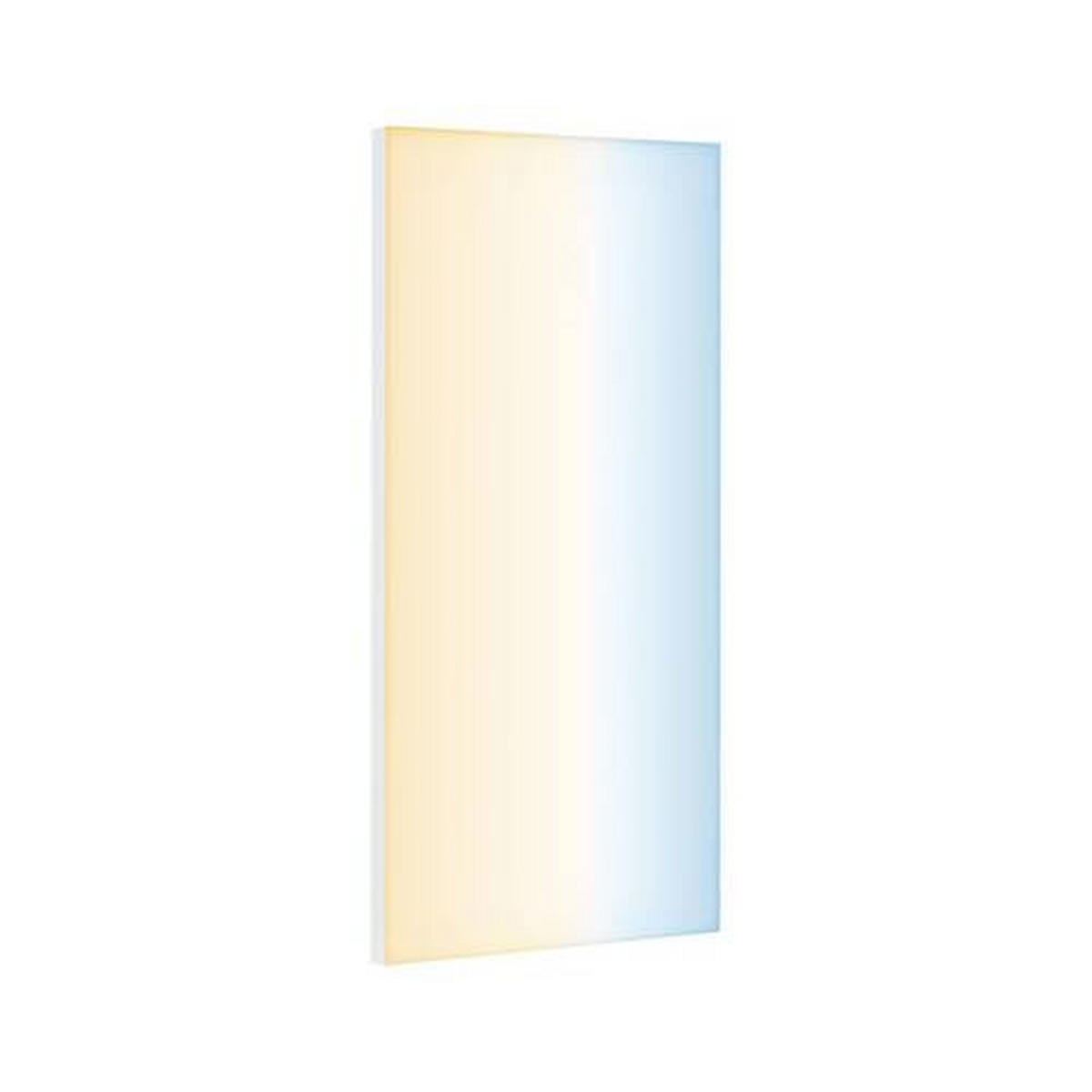 LED-PANEEL 59,5/29,5/5 cm    - Weiß, Design, Metall (59,5/29,5/5cm) - Paulmann