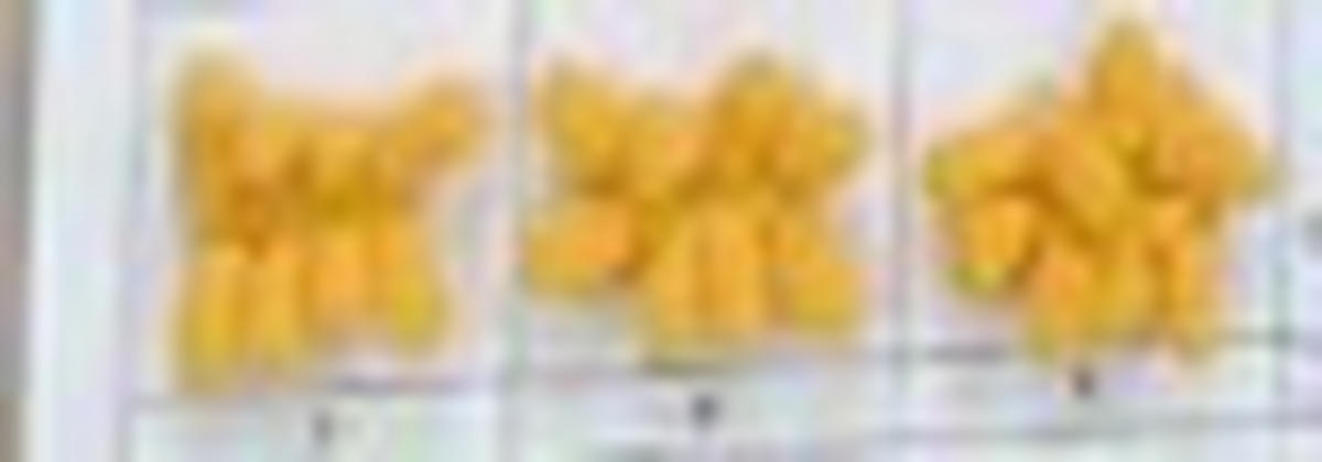 Covoraș De Baie  50/50 cm  galben   - galben, Basics, plastic/textil (50/50cm) - Esposa