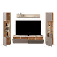 WOHNWAND 4-teilig  in Grau, Eichefarben  284/204/41 cm  - Eichefarben/Schwarz, KONVENTIONELL, Glas/Holzwerkstoff (284/204/41cm) - Carryhome