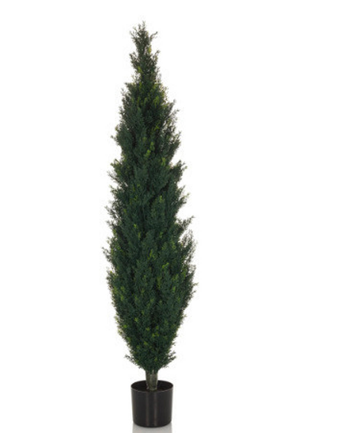KONSTVÄXT  - grön/svart, Basics, plast (35/152/35cm) - MID.YOU