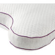 NACKENKISSEN 55/46 cm  - Weiß/Grau, Basics, Textil (55/46cm) - Sleeptex