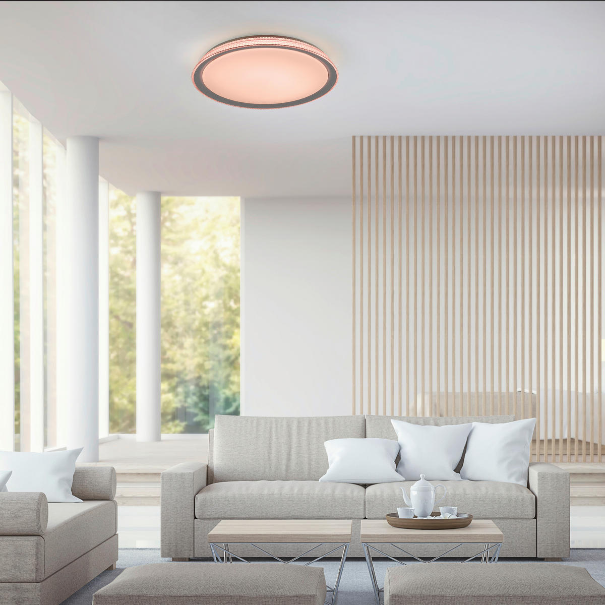 LED-DECKENLEUCHTE Lola Smart  Smart 51/51/9 cm   - Silberfarben/Weiß, Design, Kunststoff/Metall (51/51/9cm)