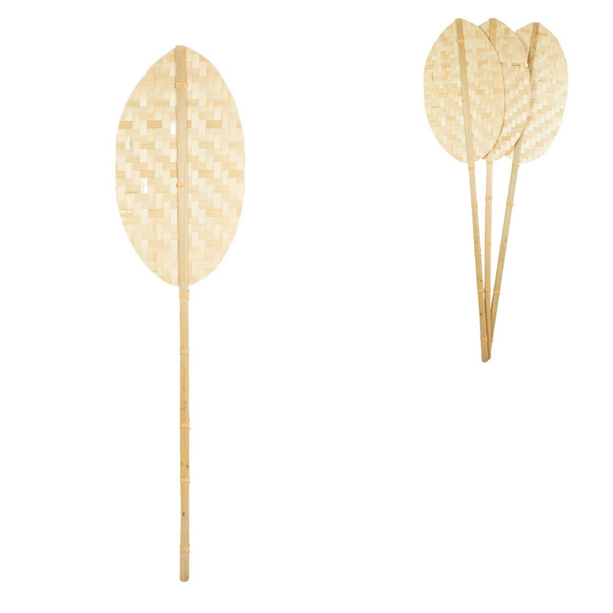 UKRASNA BILJKA - Osnovno, pločasti materijal (78/18,5/0,2cm)