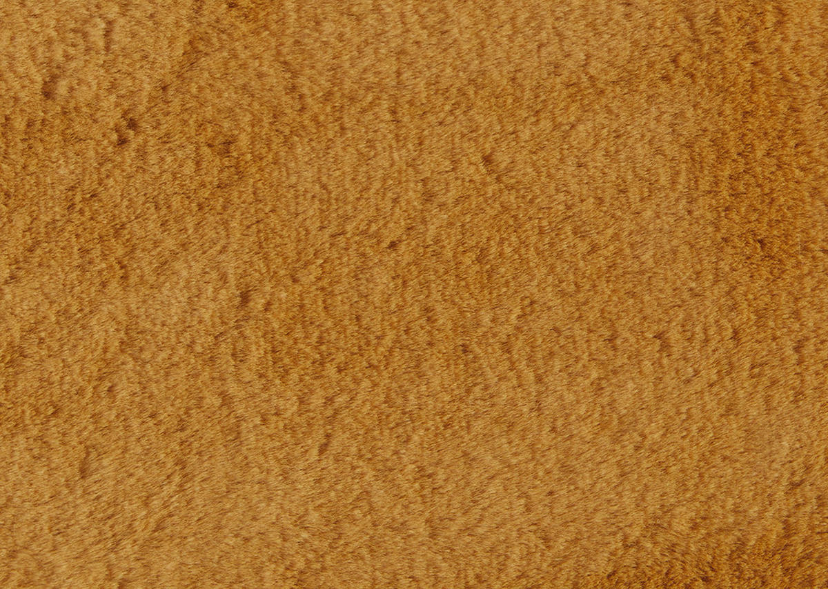 BOXBETT 160/200 cm  in Currygelb  - Currygelb/Schwarz, Design, Holz/Holzwerkstoff (160/200cm) - Xora