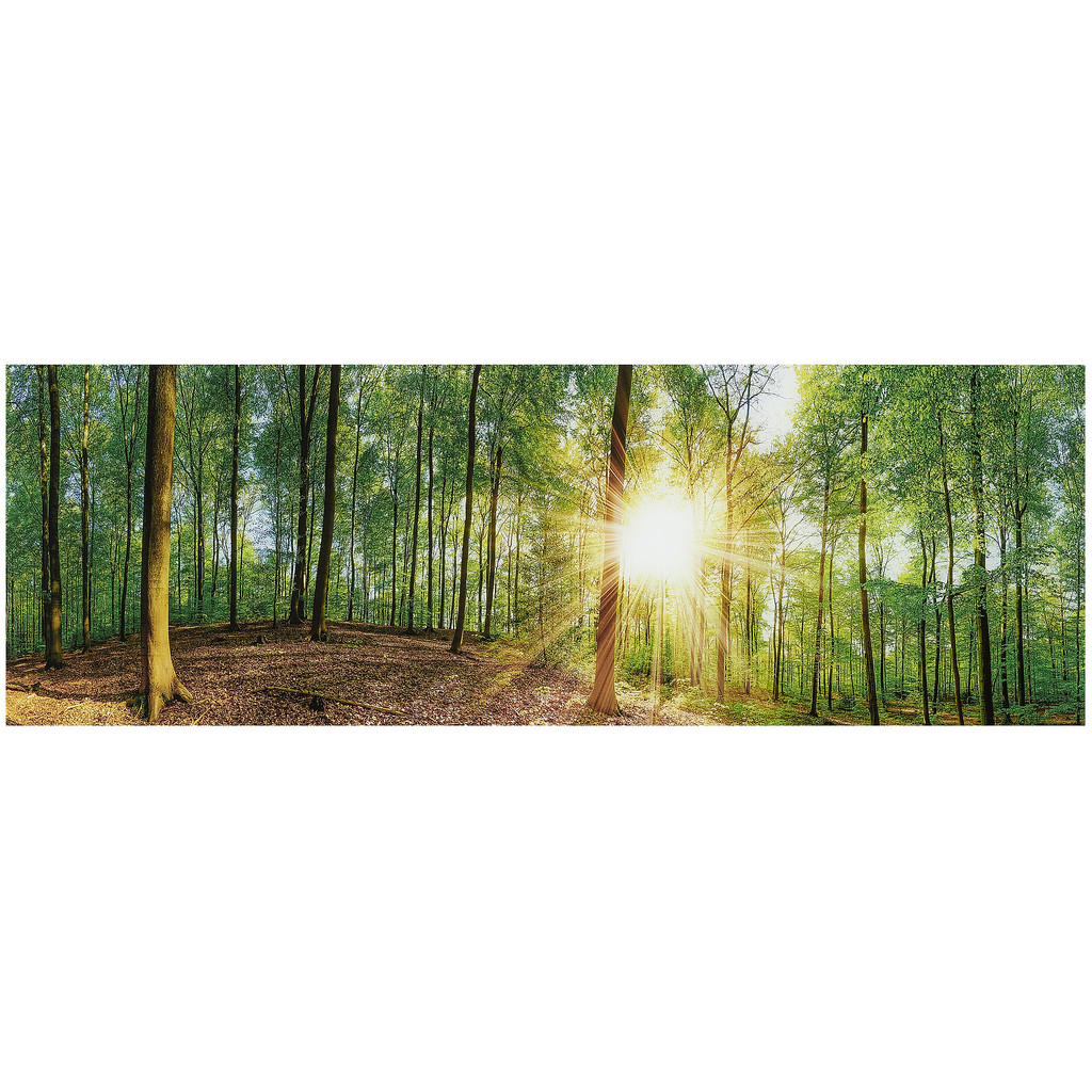 Euroart OBRAZ NA SKLE, stromy, 33/98 cm - vícebarevná