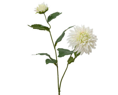 FLOARE DECORATIVĂ - Basics (15/66cm)