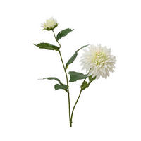 FLOARE DECORATIVĂ - Basics (15/66cm)
