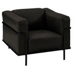 SESSEL in Echtleder Schwarz  - Schwarz, Design, Leder/Metall (91/67/96cm) - Johann Jakob