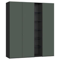 DREHTÜRENSCHRANK 191/220/40 cm,  in Schwarz, Graugrün, 3-türig  - Silberfarben/Schwarz, Design, Glas/Holzwerkstoff (191/220/40cm) - Jutzler