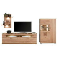 WOHNWAND  in Alteiche  317,1/171/50,2 cm  - Alteiche/Silberfarben, KONVENTIONELL, Glas/Holz (317,1/171/50,2cm) - Livetastic