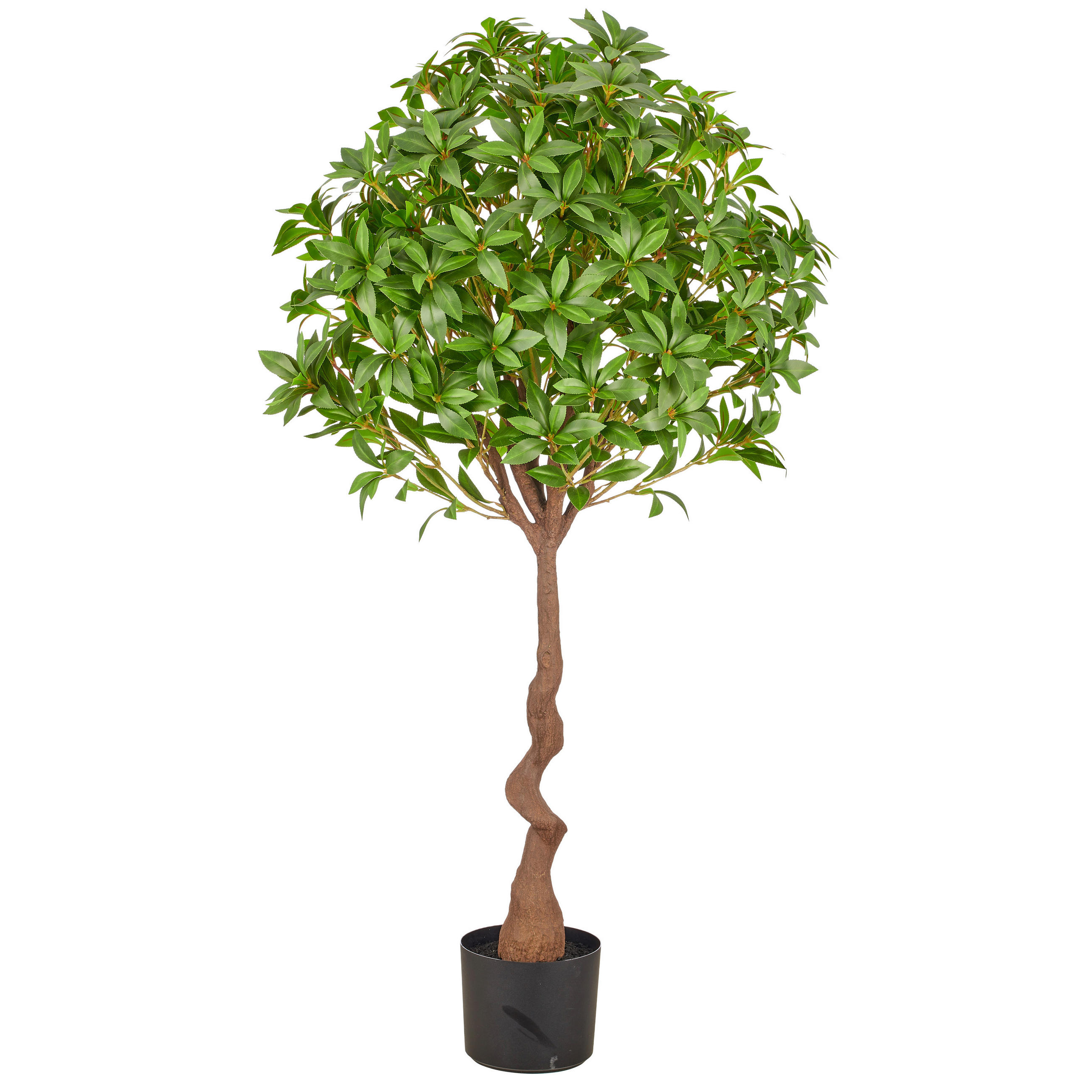 KUNSTPFLANZE 125 cm  - Schwarz/Braun, Basics, Kunststoff (125cm)