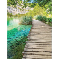 LEINWANDBILD Landschaft & Natur 60/80 cm  - Multicolor, Basics, Holz/Papier (60/80cm)