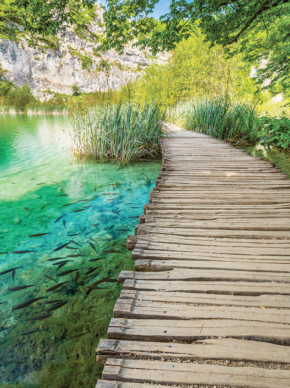 LEINWANDBILD Landschaft & Natur 60/80 cm  - Multicolor, Basics, Holz/Papier (60/80cm)