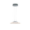 LED-HÄNGELEUCHTE 42,5/150 cm  - Chromfarben/Nickelfarben, Design, Glas/Metall (42,5/150cm) - Hell
