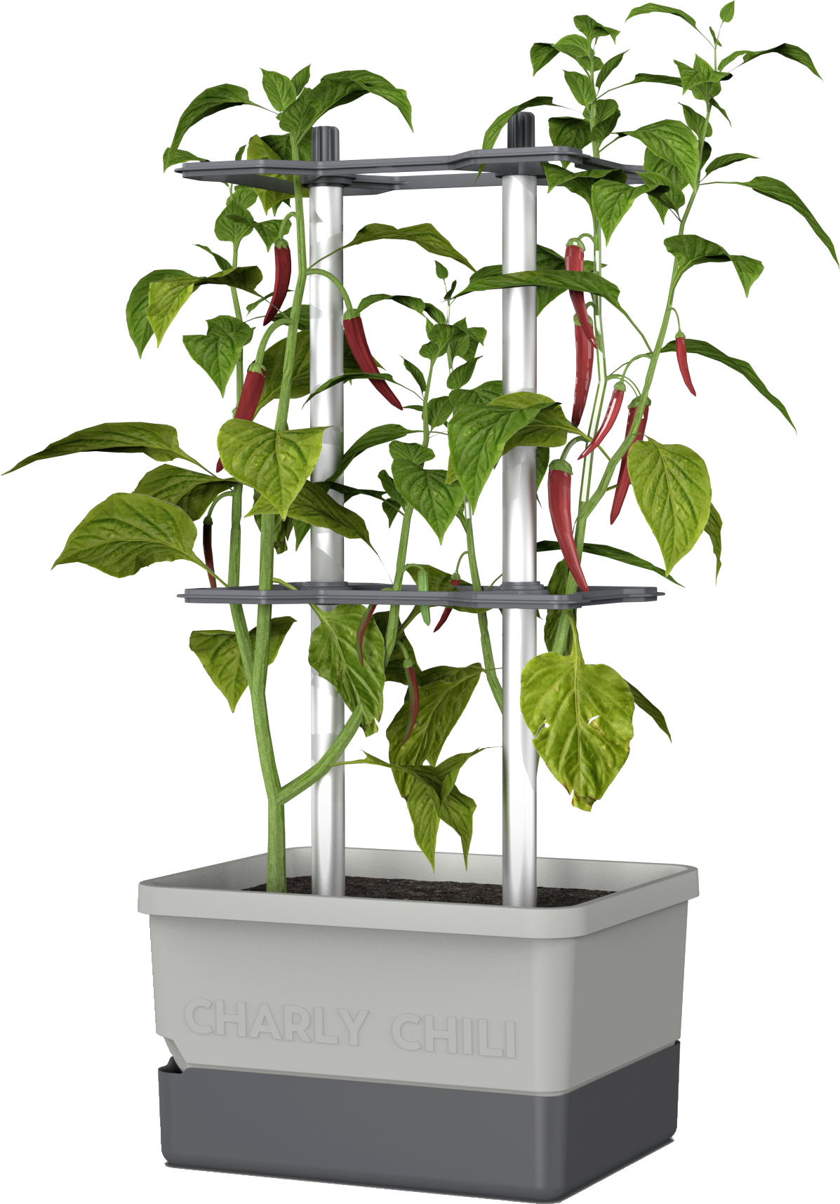 PFLANZENTOPF CHARLY CHILI - Hellgrau/Grau, Basics, Kunststoff (34,5/69/27,5cm) - Gusta Garden