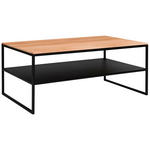 COUCHTISCH in Metall 100/60/41 cm  - Buchefarben/Schwarz, Design, Holz/Metall (100/60/41cm) - Johann Jakob