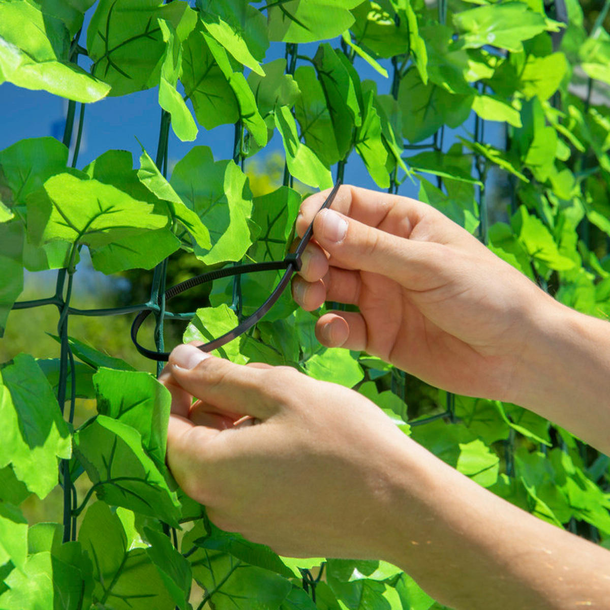 CLONA – ŽIVÝ PLOT 300/150 cm  - zelená, Basics, plast (300/150cm)