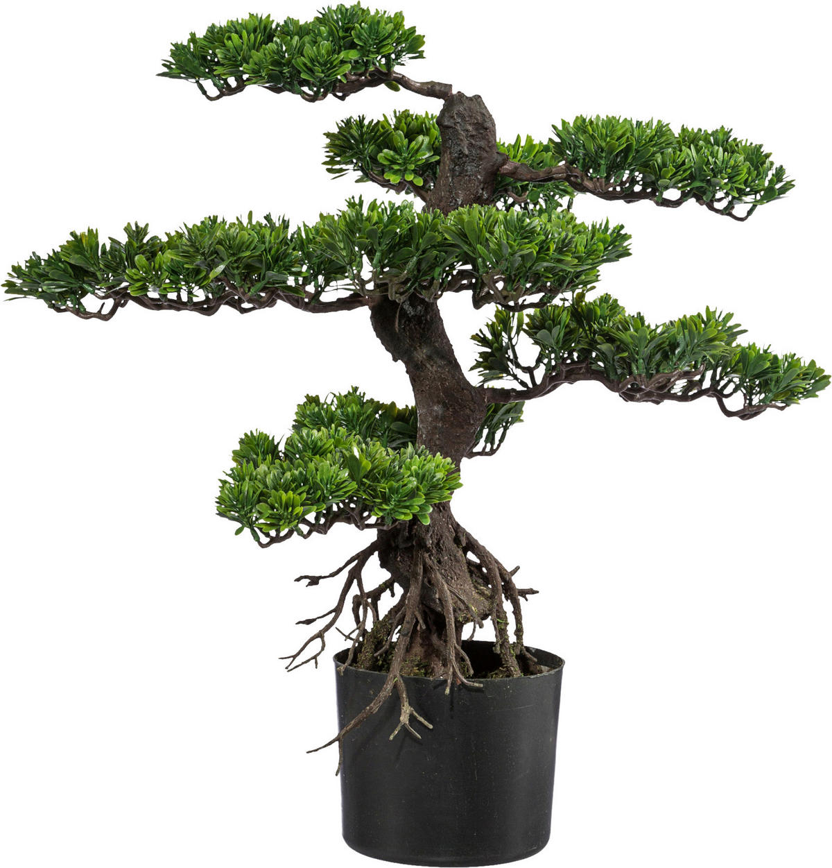 KUNSTPFLANZE Bonsai 65 cm  - Schwarz/Braun, Design, Kunststoff (65cm) - P & B