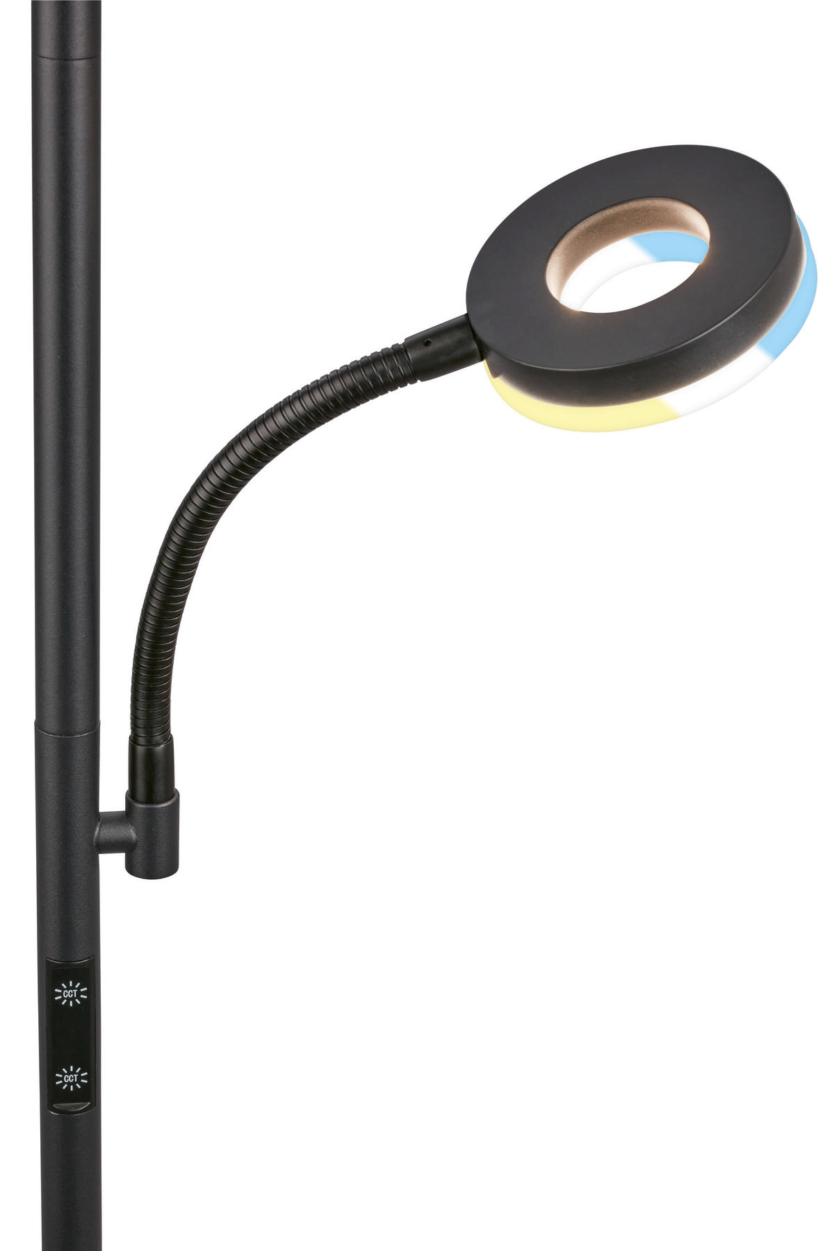LED ÁLLÓLÁMPA - fekete, Basics, műanyag/fém (26/180cm)