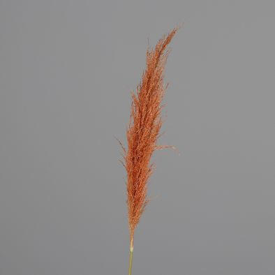 DEKORAČNÍ VĚTVIČKA pampová tráva 120 cm - oranžová, Basics, přírodní materiály (120cm)