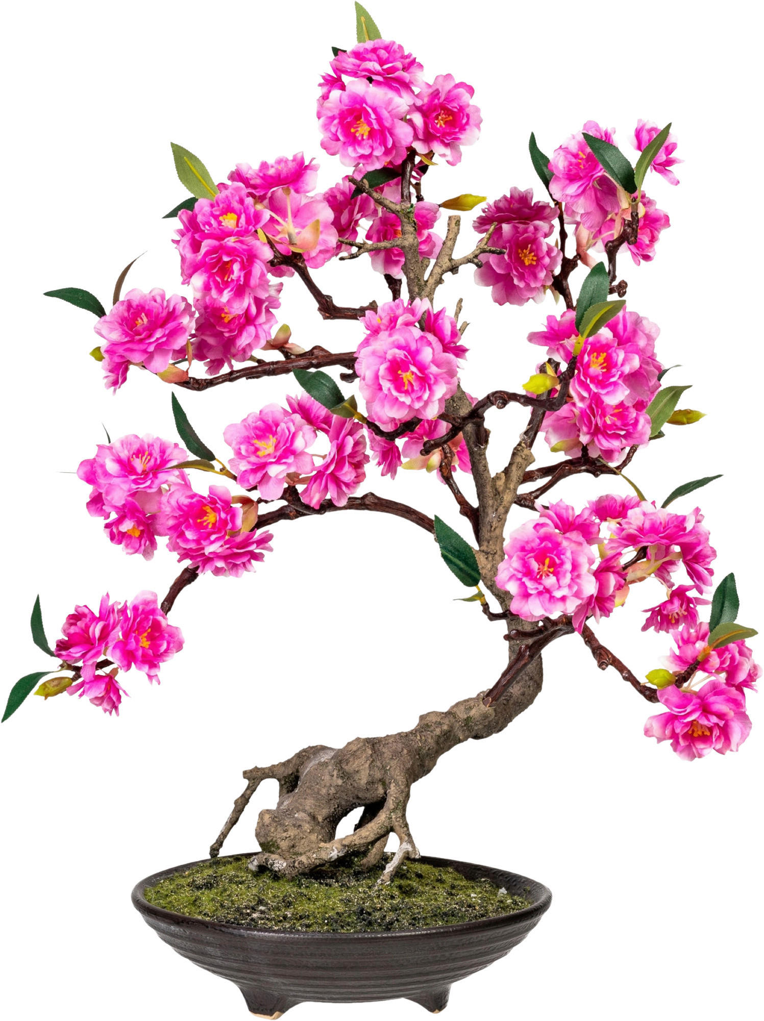 KUNSTPFLANZE Bonsai 50 cm  - Pink/Braun, Design, Keramik/Kunststoff (50cm) - P & B